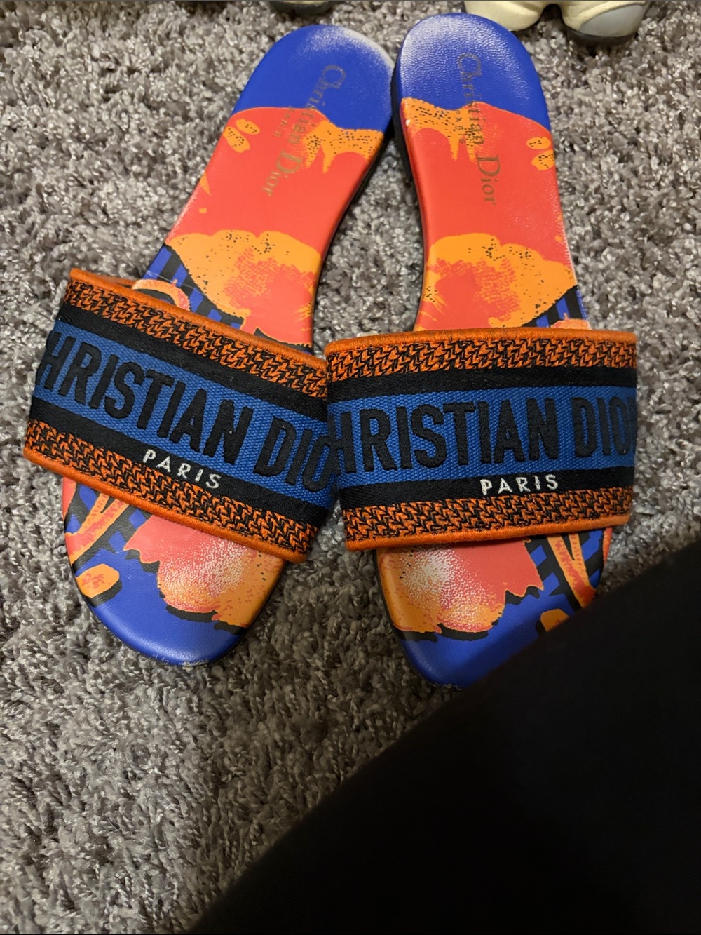 Dior Blue and Orange Logo Slide Sandals